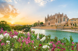 New construction apartments 2-4 bedrooms in Palma in prime location with pool fitness terrace close to beach and sea